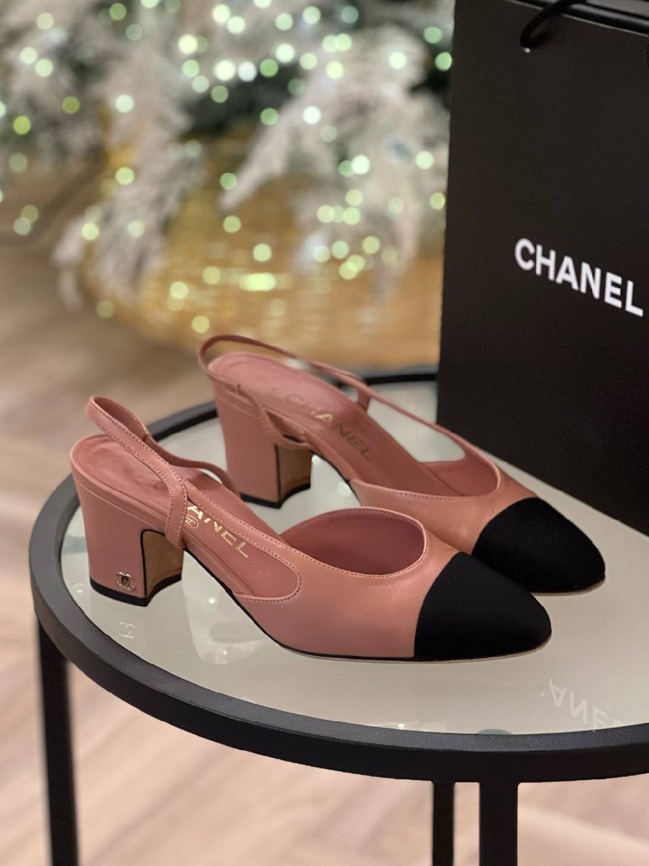 photo_2026-01-30_15-29-40