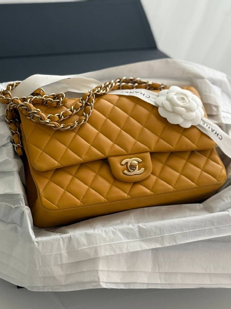 IMG_20260301_153349_262