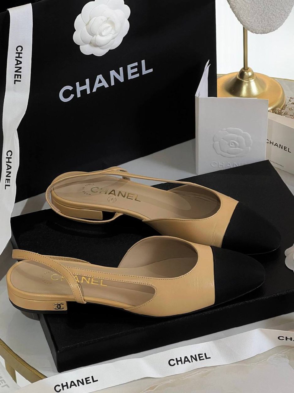 photo_2025-10-08_12-37-23